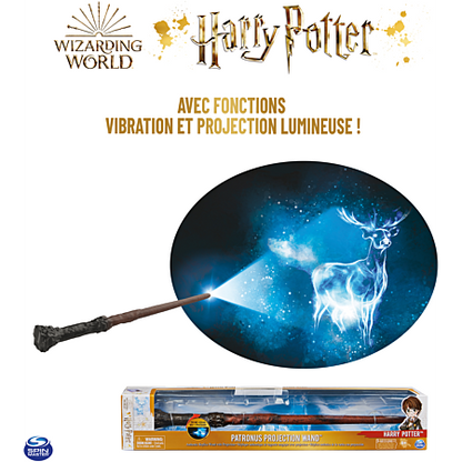 SPINMASTER Bacchetta Harry Potter Funzioni