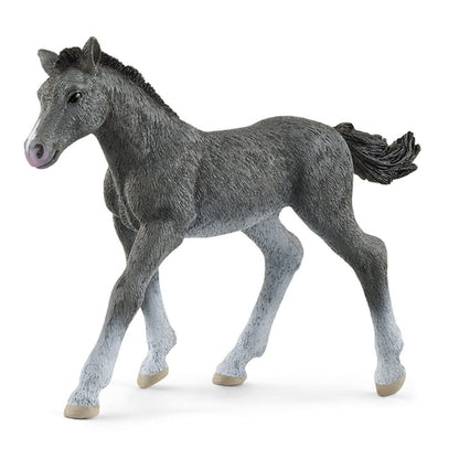 Schleich Horse Club Puledro Trakehner Grigio