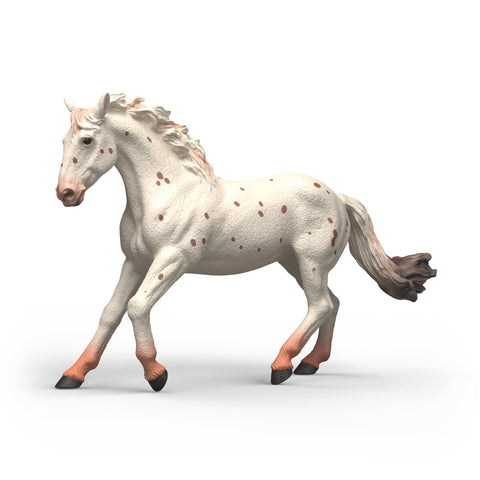 Schleich Horse Club Cavalla Knabstrupper 14917