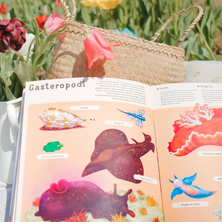 Sassi Enciclopedia Del Mare Per Piccoli Lettori Ediz. A Colori