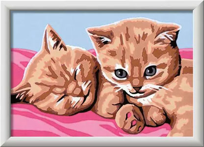 Ravensburger Creart Serie E Classic Gattini