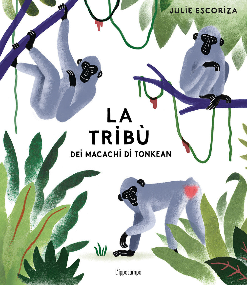La Tribù Dei Macachi Di Tonkean. Ediz. a Colori