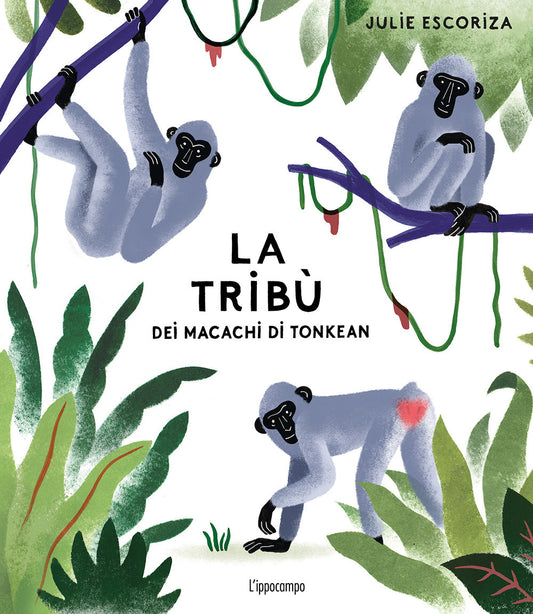 La Tribù Dei Macachi Di Tonkean. Ediz. a Colori