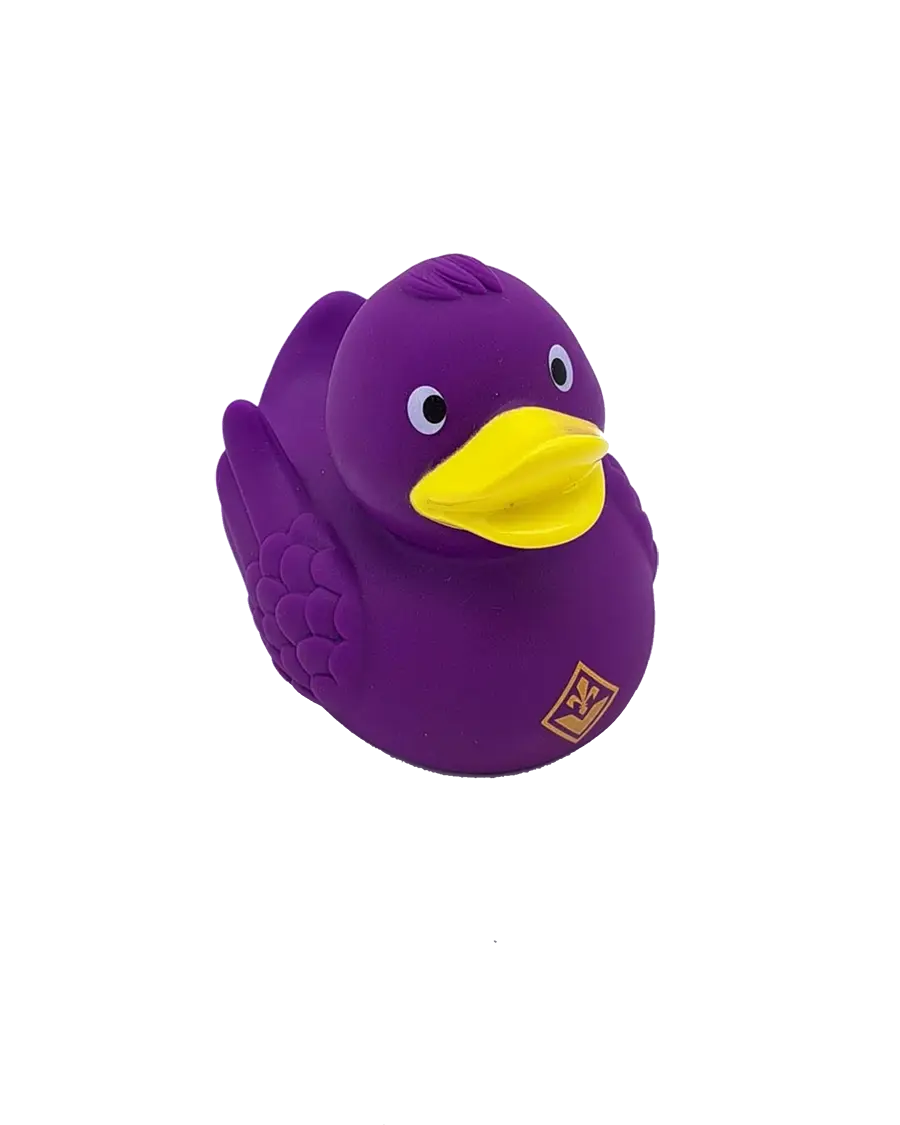 Paperella Gomma Fiorentina