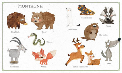Sassi Animali. I Parolieri. Ediz. A Colori