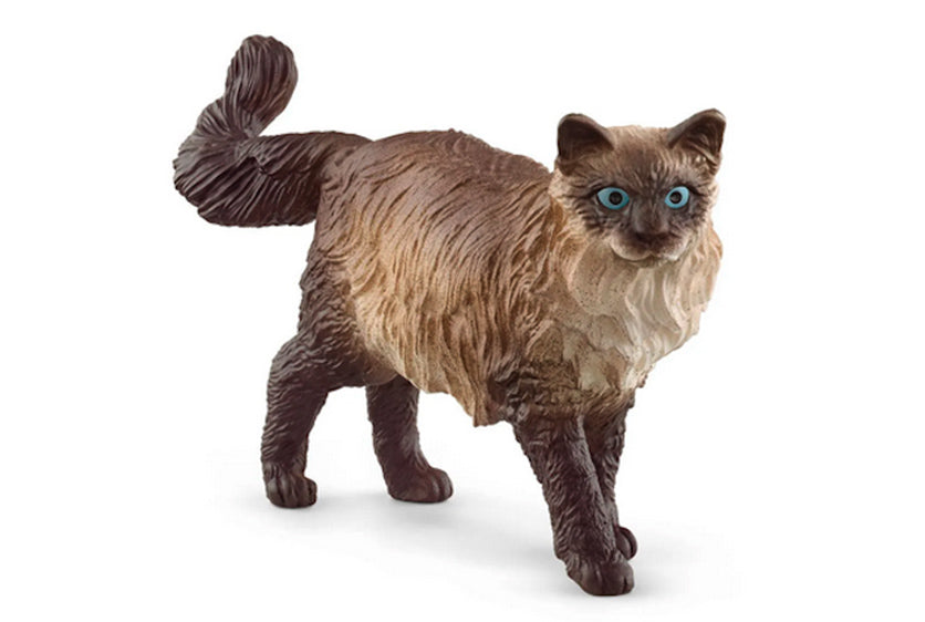 Schleich Gatto Ragdoll