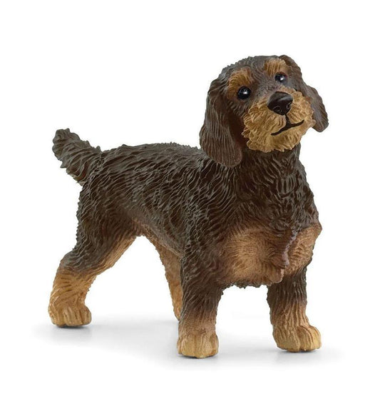 Schleich Bassotto A Pelo Ruvido
