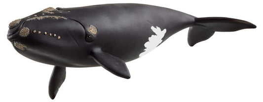 Schleich Balena Franca Nordatlantica