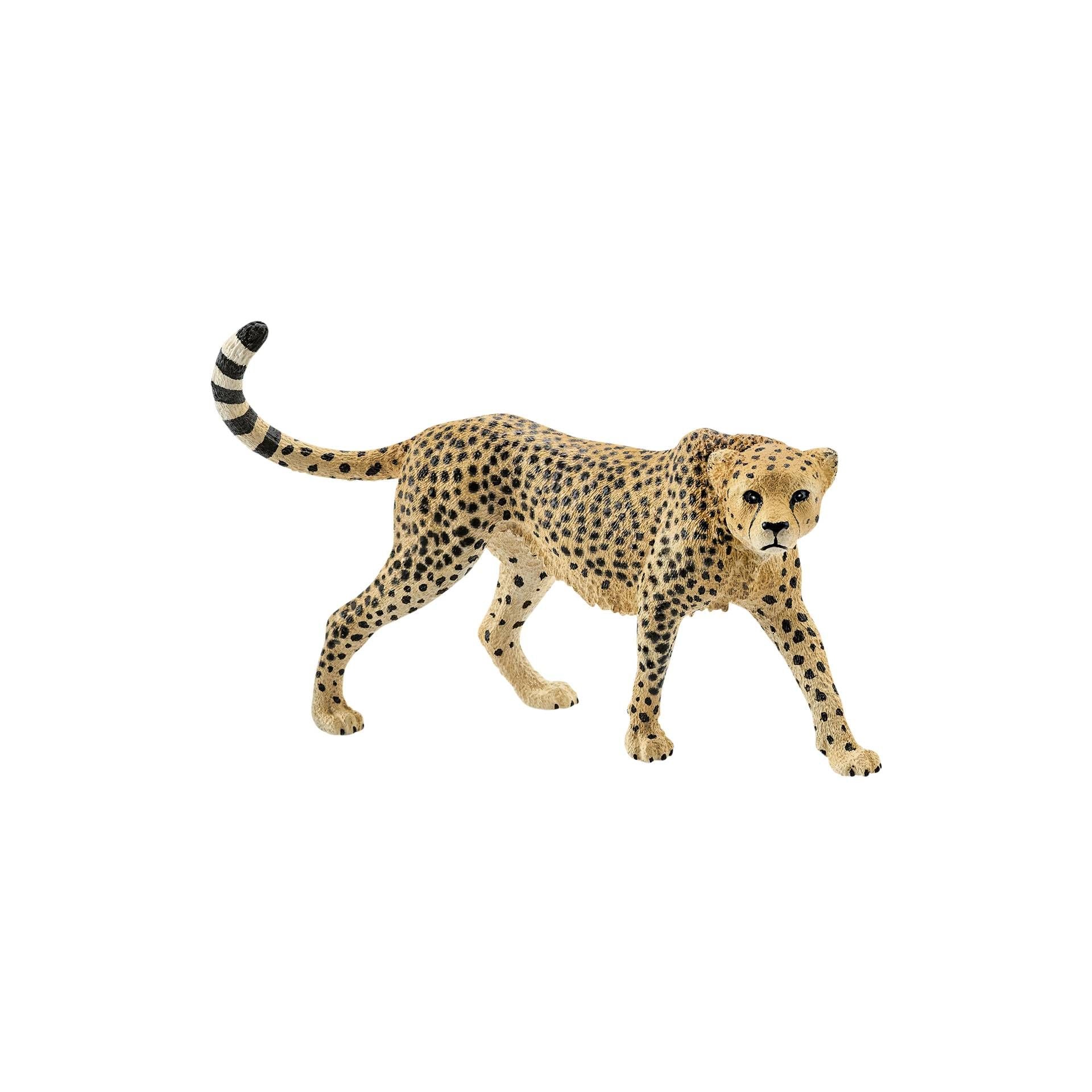Schleich Wild Life Femmina Di Ghepardo