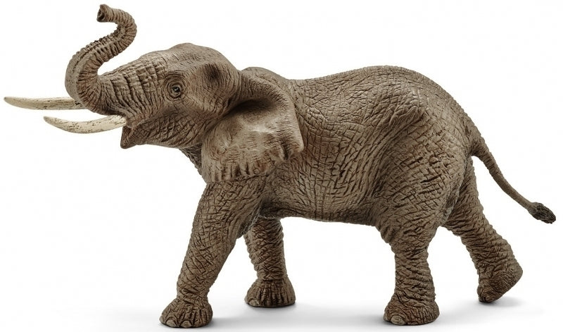 Schleich  Wild Life - Elefante Africano Maschio