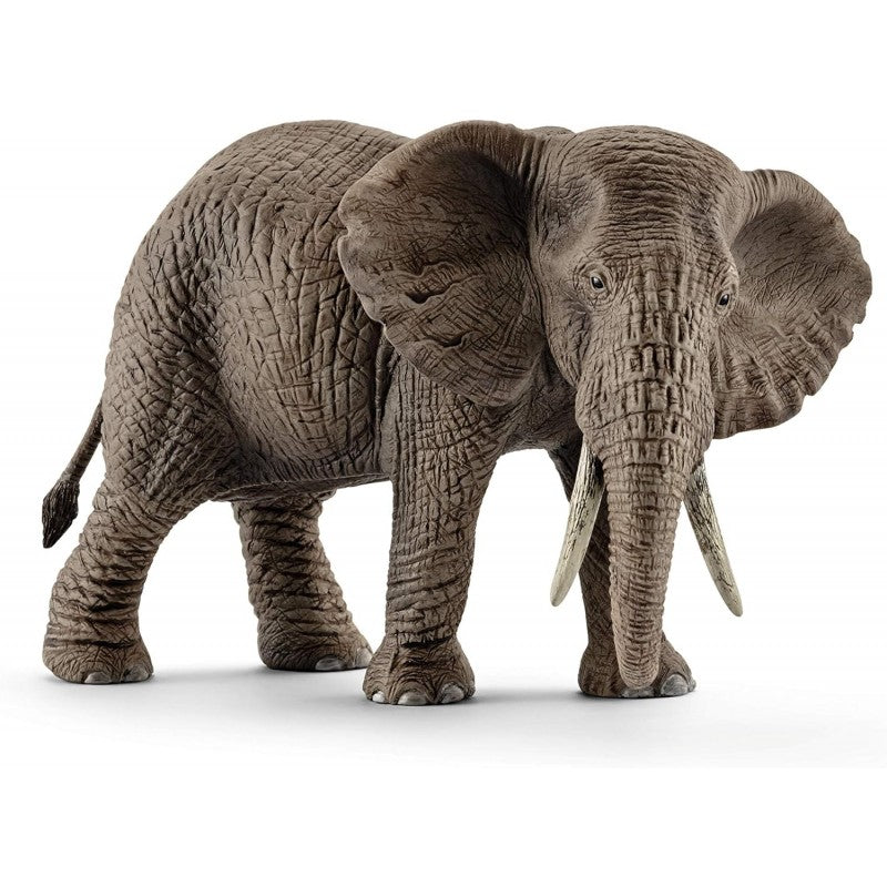 Elefante Africano Femmina - Schleich