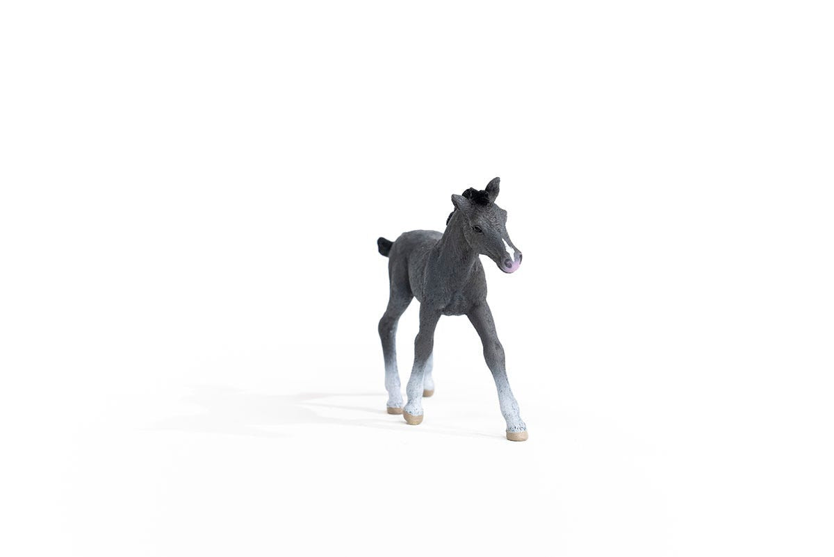 Schleich Horse Club Puledro Trakehner Grigio
