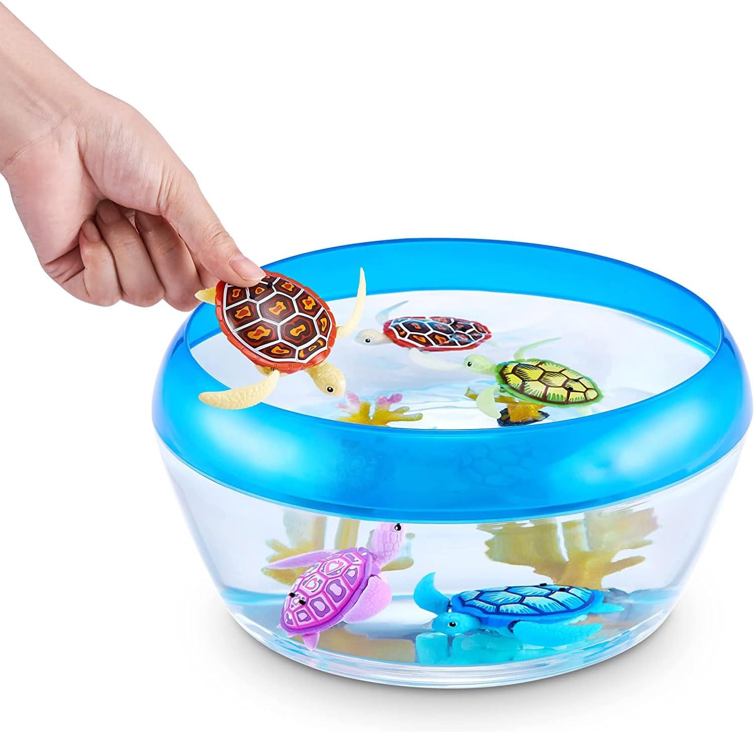 Robo Turtle Tartarughina