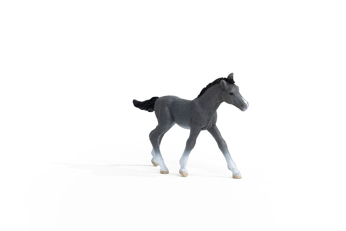 Schleich Horse Club Puledro Trakehner Grigio