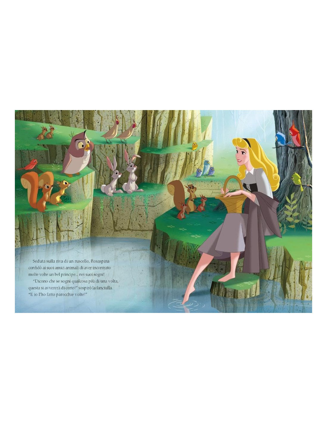 Disney Libri - La Bella Addormentata Nel Bosco Disney 100 Ediz. Limitata