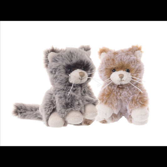 Kitty E Timothy Gold Peluche Bukowski