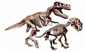 Archeogiocando - T-Rex E Smilodon 2 In 1