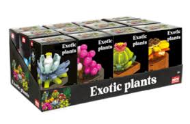 Nice - Costruzioni Piante Esotiche - Konofit