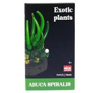 Nice - Costruzioni Piante Esotiche - Abuca Spiralis