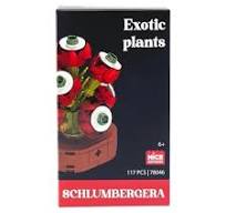 Nice - Costruzioni Piante Esotiche - Schlumbergera