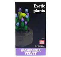 Nice - Costruzioni Piante Esotiche - Sanseweria Velvet