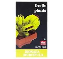 Nice - Costruzioni Piante Esotiche - Dionea Muscipula