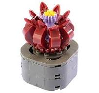 Nice - Costruzioni Piante Esotiche - Stapelia Flavirostris