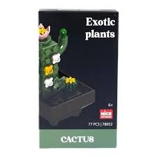 Nice - Costruzioni Piante Esotiche - Cactus