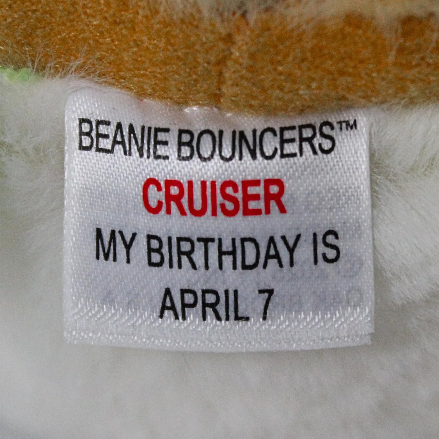 TY Beanie Bouncers - Cruiser la Tartaruga Marina con gli Occhioni Rossi, Teneri Animaletti Rimbalzanti tutti da collezionare, T83061