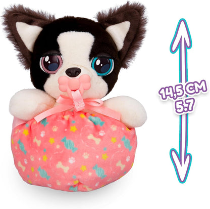 Baby Paws Mini Cuccioli Border Collie IMC