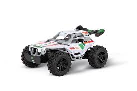 2,4 Ghz Team Rider Radiocomando