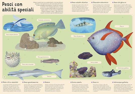 Sassi Enciclopedia Del Mare Per Piccoli Lettori Ediz. A Colori
