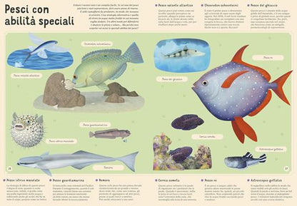Sassi Enciclopedia Del Mare Per Piccoli Lettori Ediz. A Colori