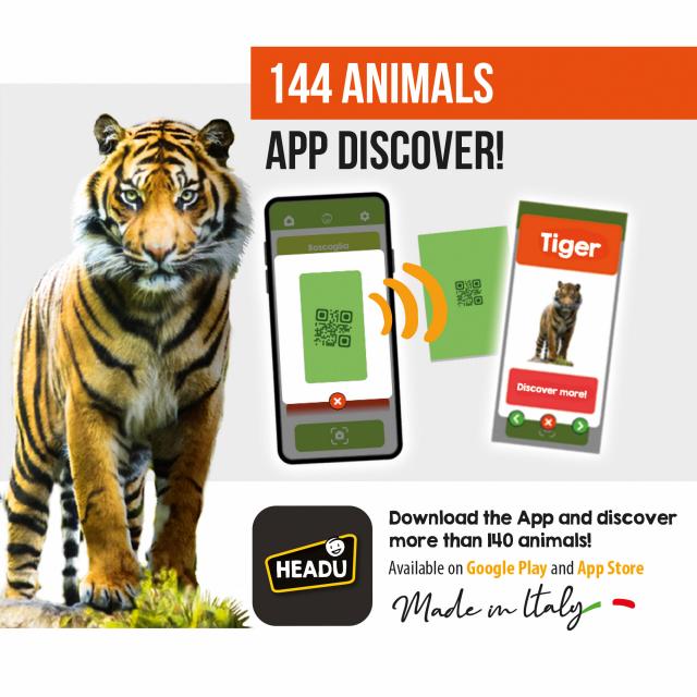Memorix 108 Animal Cards Headu 5 ANNI +