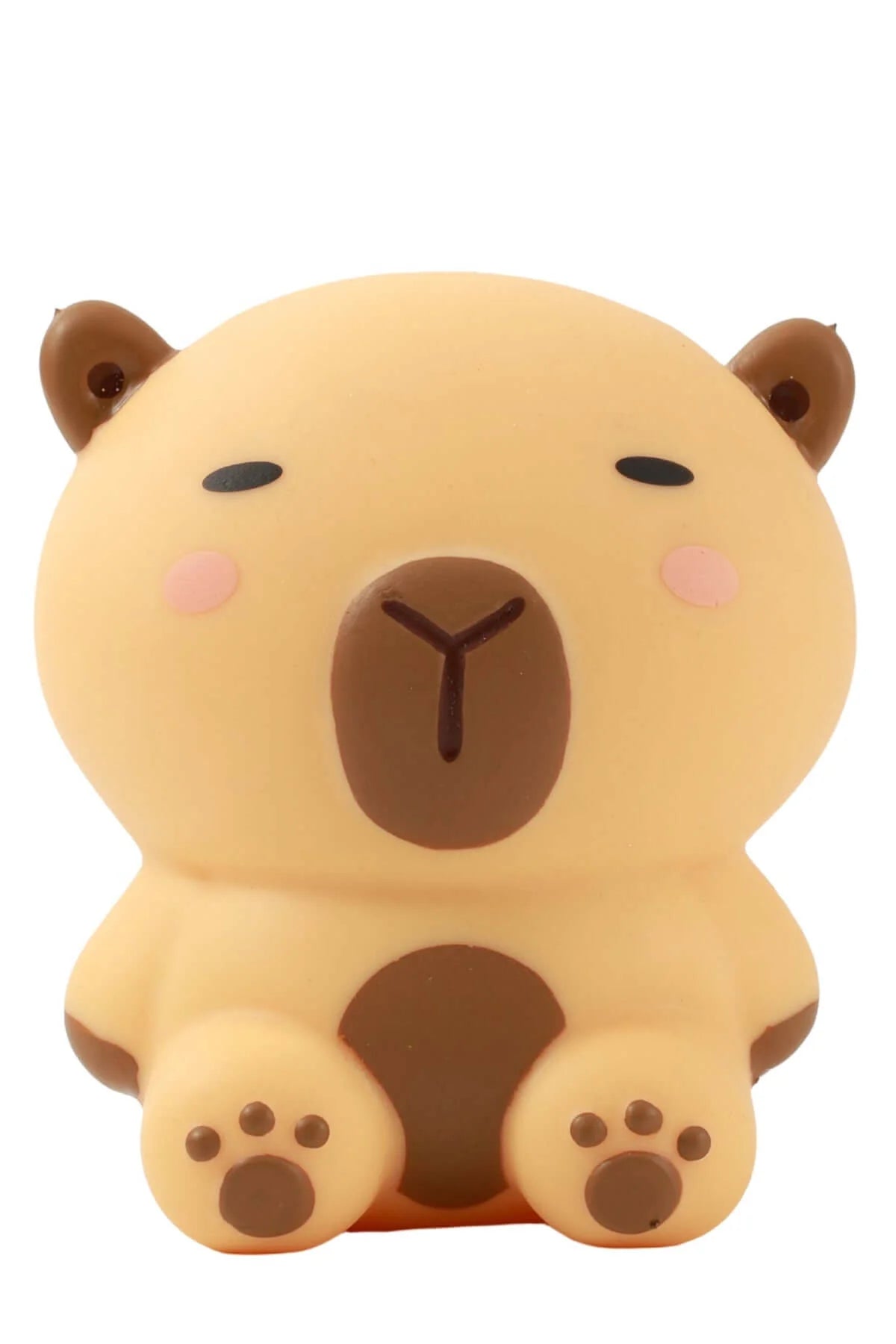 iTotal Gomma Capybara 24/1