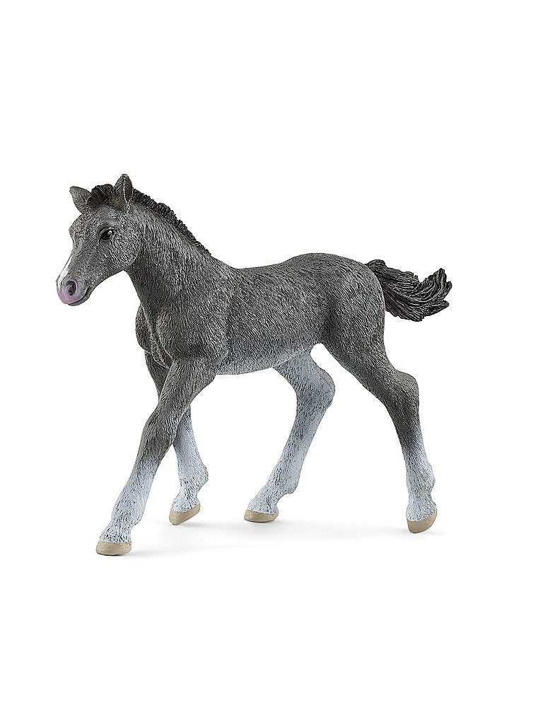 Schleich Horse Club Puledro Trakehner Grigio