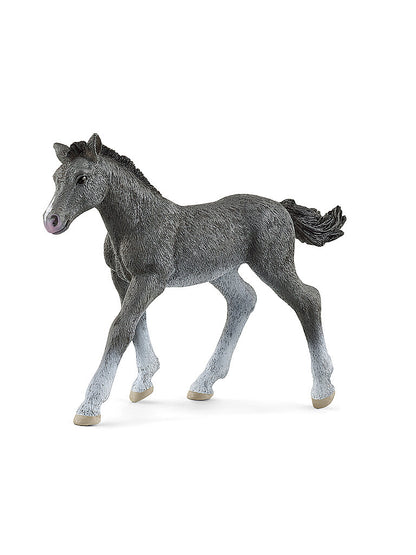 Schleich Horse Club Puledro Trakehner Grigio