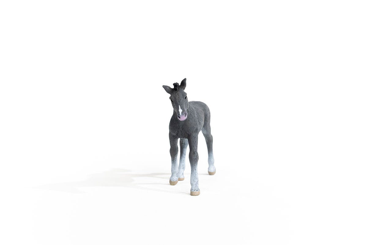 Schleich Horse Club Puledro Trakehner Grigio