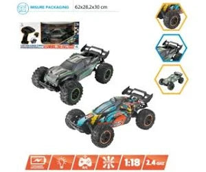 Hungary Toys Auto Buggy 1:10 Radiocomando Luci USB HT365