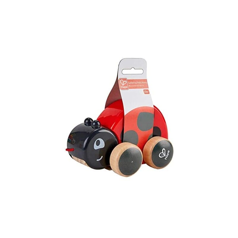 Coccinella Trainabile Hape toysvaldichiana.it 