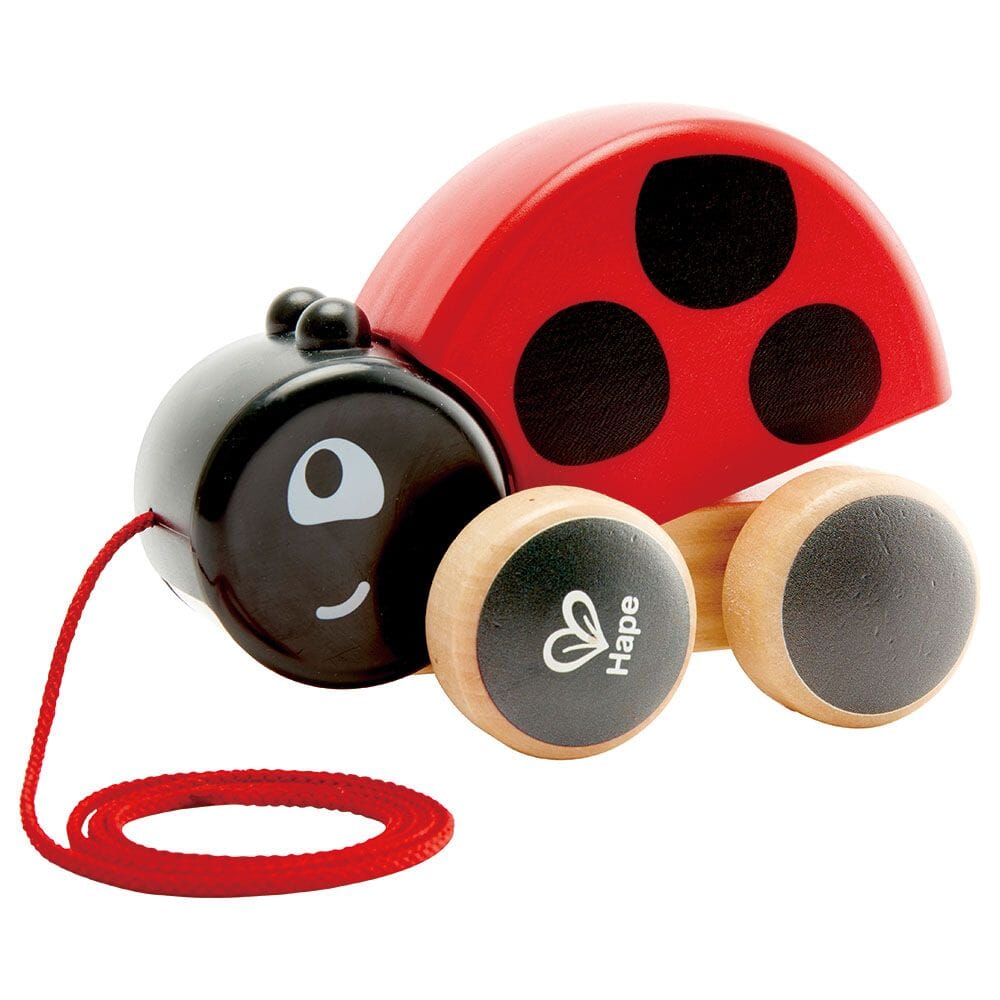 Coccinella Trainabile Hape toysvaldichiana.it 
