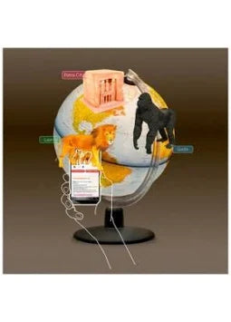 Tecnodidattica Globo Gaia 25 Cm - Mappamondo Didattico