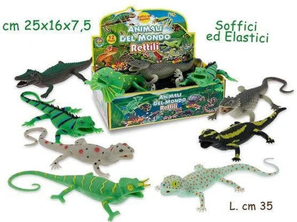 Teorema Geo Nature Animali Dell'Asia Busta