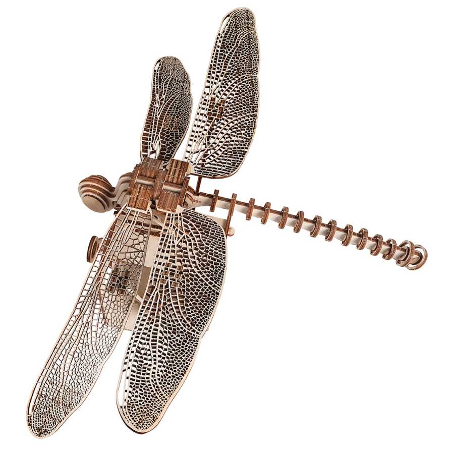 Logica Puzzles Dragonfly by Leonardo da Vinci