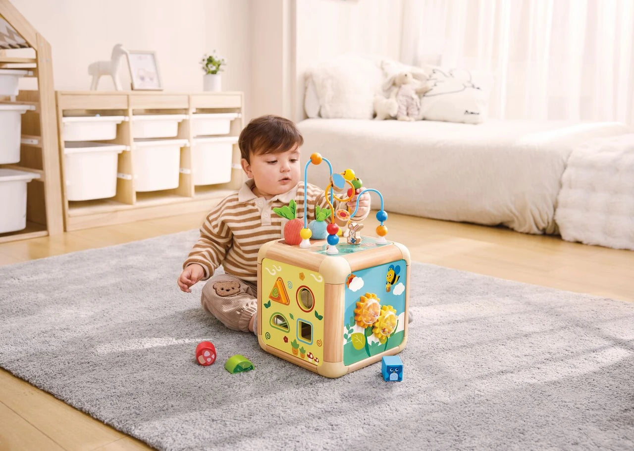 Hape Cubo Attività Carota 6 in 1 E0527