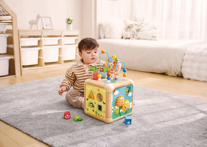 Hape Cubo Attività Carota 6 in 1 E0527