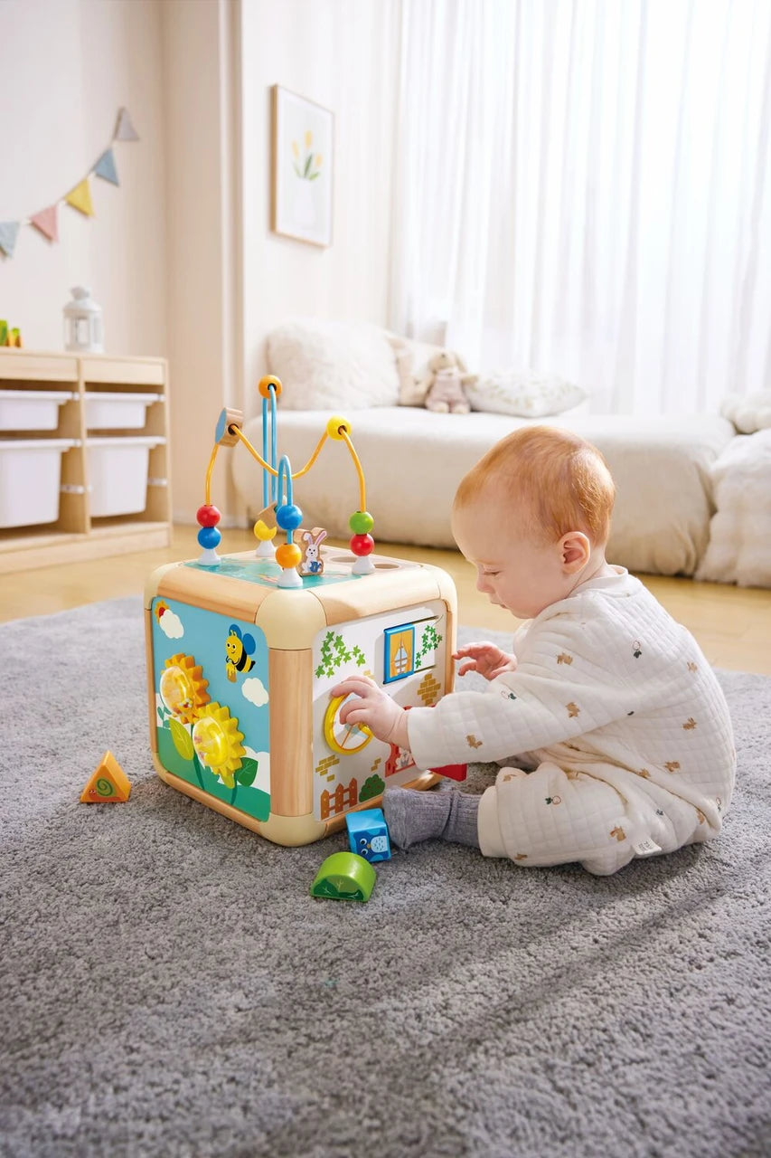 Hape Cubo Attività Carota 6 in 1 E0527