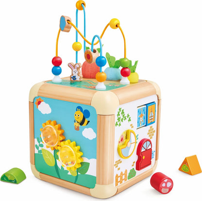 Hape Cubo Attività Carota 6 in 1 E0527