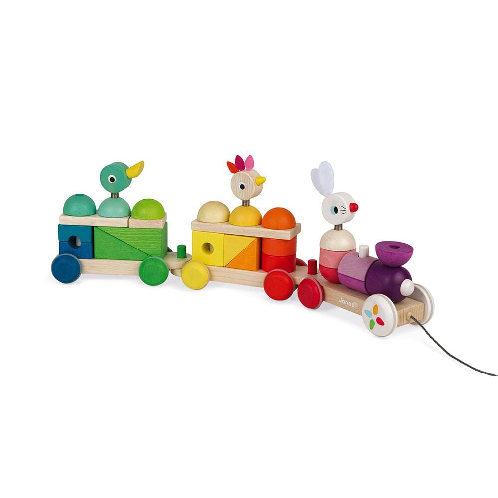 Janod Treno Gigante Multicolore Zigolo JANOD 