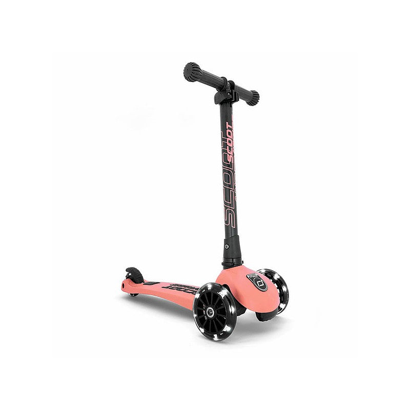 Monopattino LED Scoot & Ride pesca
